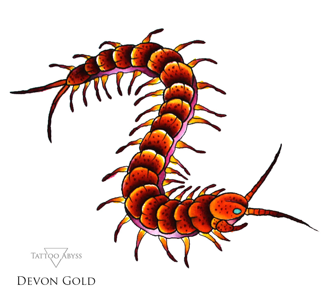 50 Centipede Tattoo Designs For Men  Insect Ink Ideas  Tattoo designs  men Tattoo designs Centipede