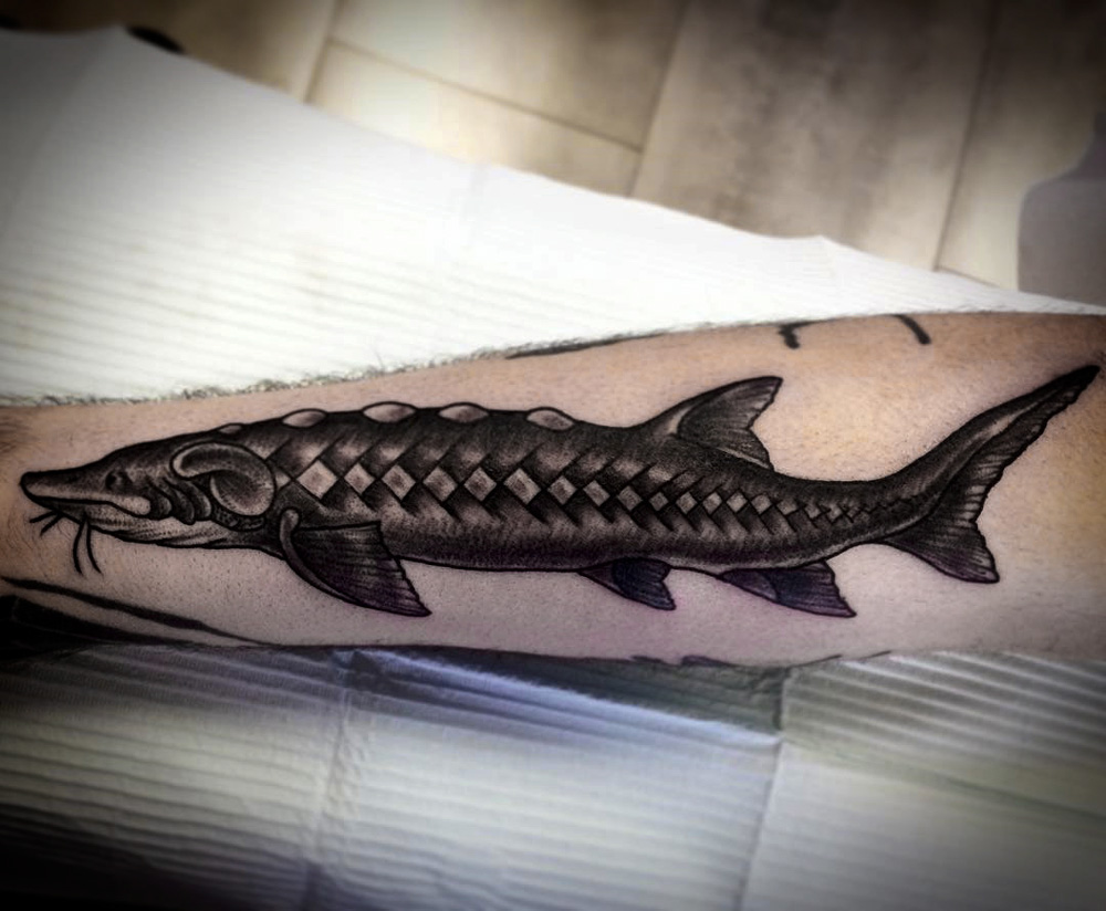 sturgeon-old0school-tattoo-abyss - Tattoo Abyss Montreal