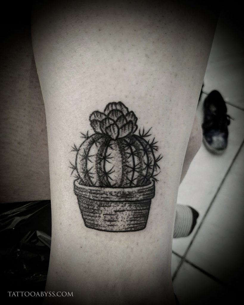 Premium Vector  Cactus sketch for logo floral succulent plants tattoo  highly detailed in line art style
