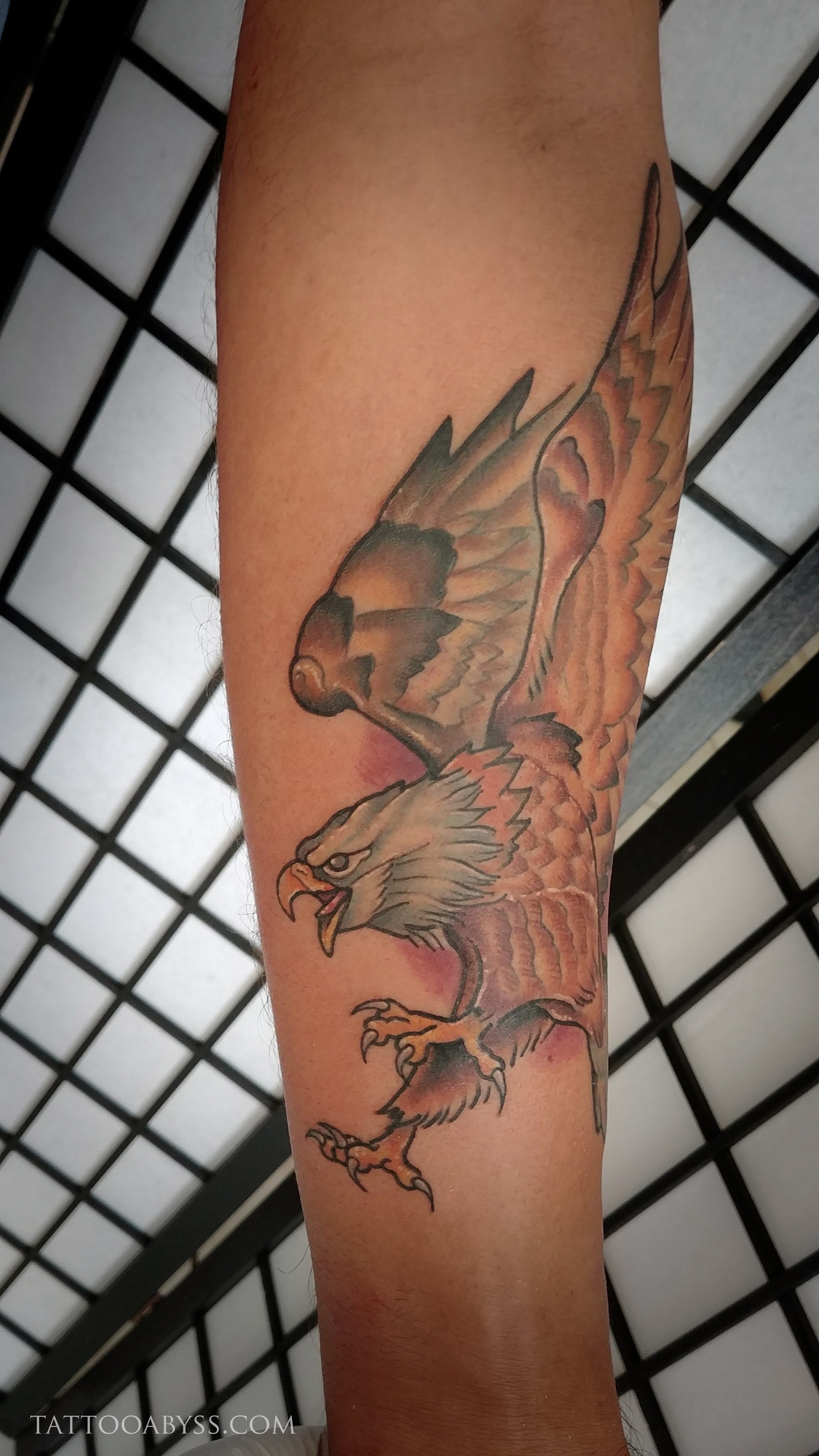 Tribal Lion Eagle tattoo , Tribal Lion Eagle tattoo ,Tribal Lion Eagle  sticker, Temporary tattoo ,tattoo