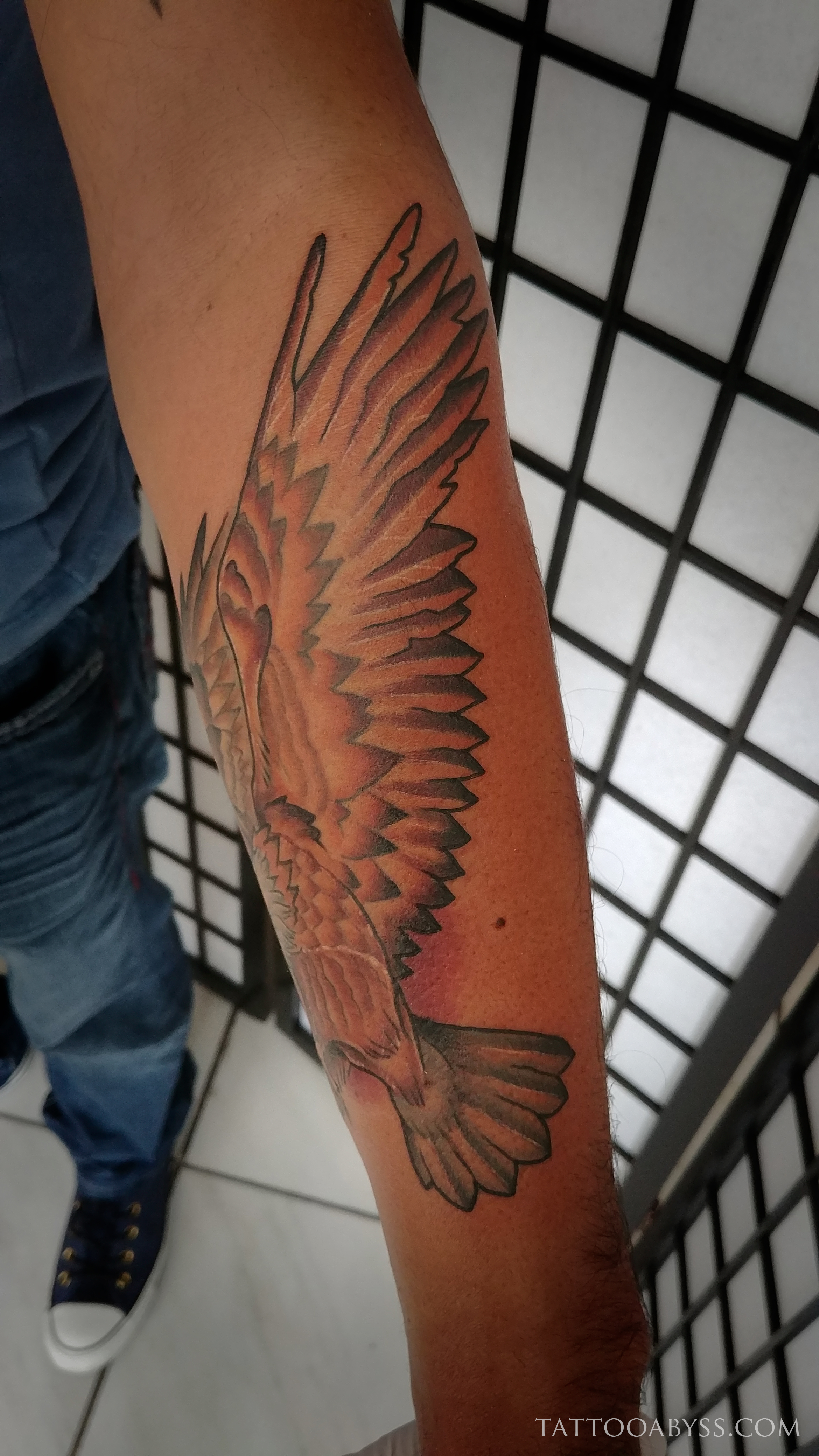 Eagle Wing by Steve Phipps TattooNOW