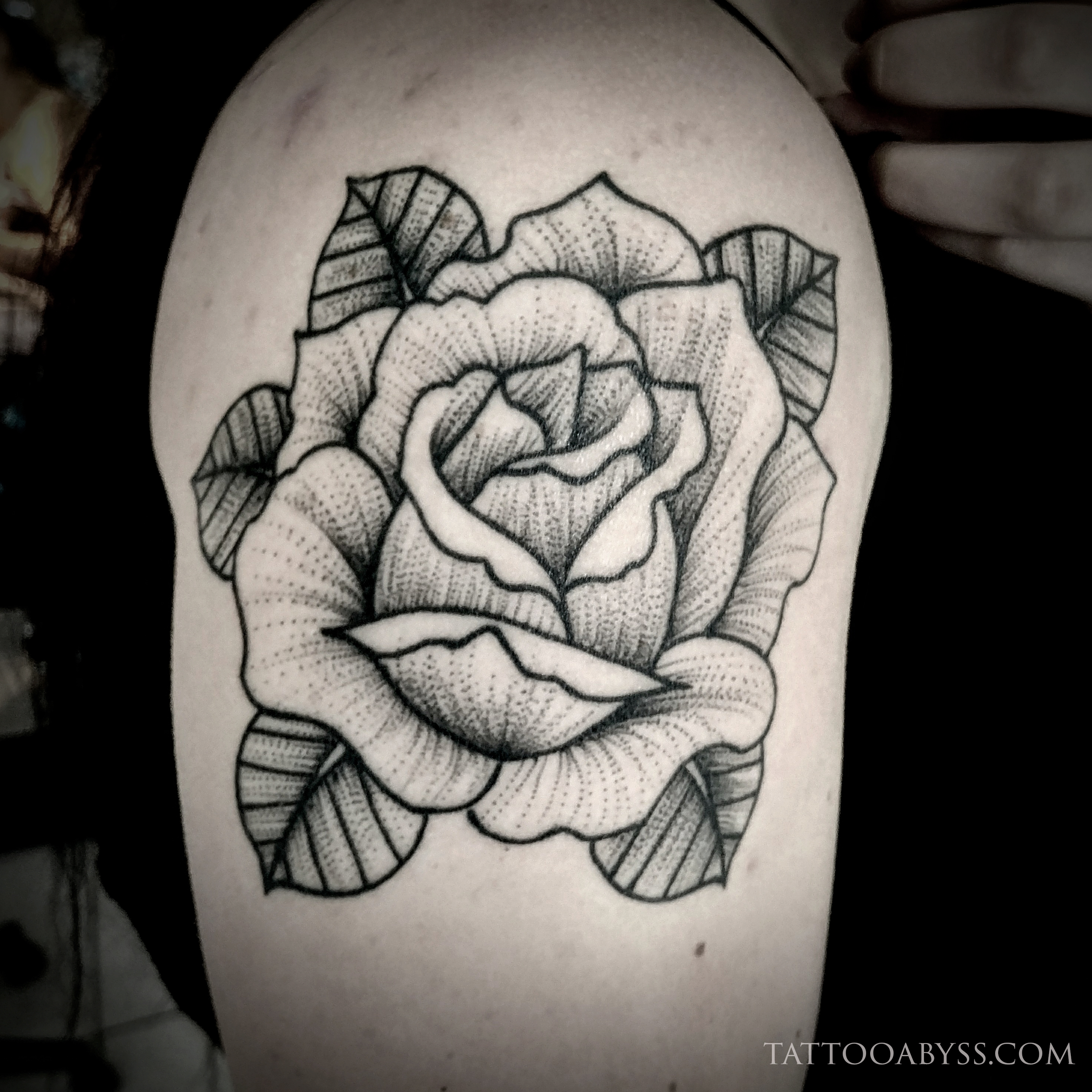 rose-dotwork-devon-tattoo-abyss