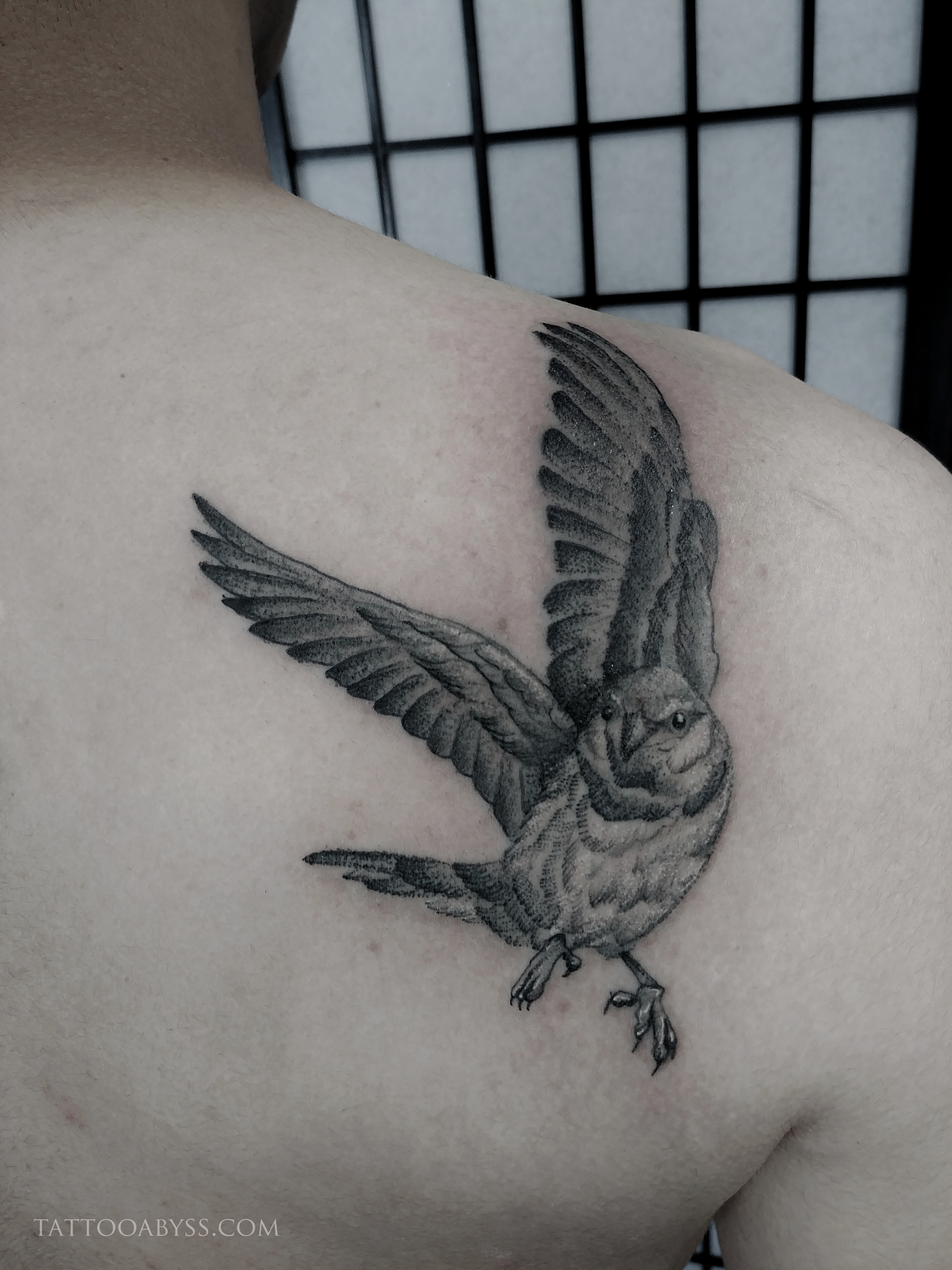 Sparrow - Tattoo Abyss Montreal