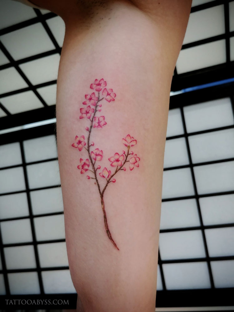 cherry-blossoms-devon-tattoo-abyss