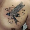 swallow2-devon-tattoo-abyss