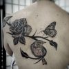 bird-butterfly-devon-tattoo-abyss