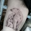 polar-bears-camille-tattoo-abyss