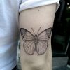 butterfly-3-camille-tattoo-abyss