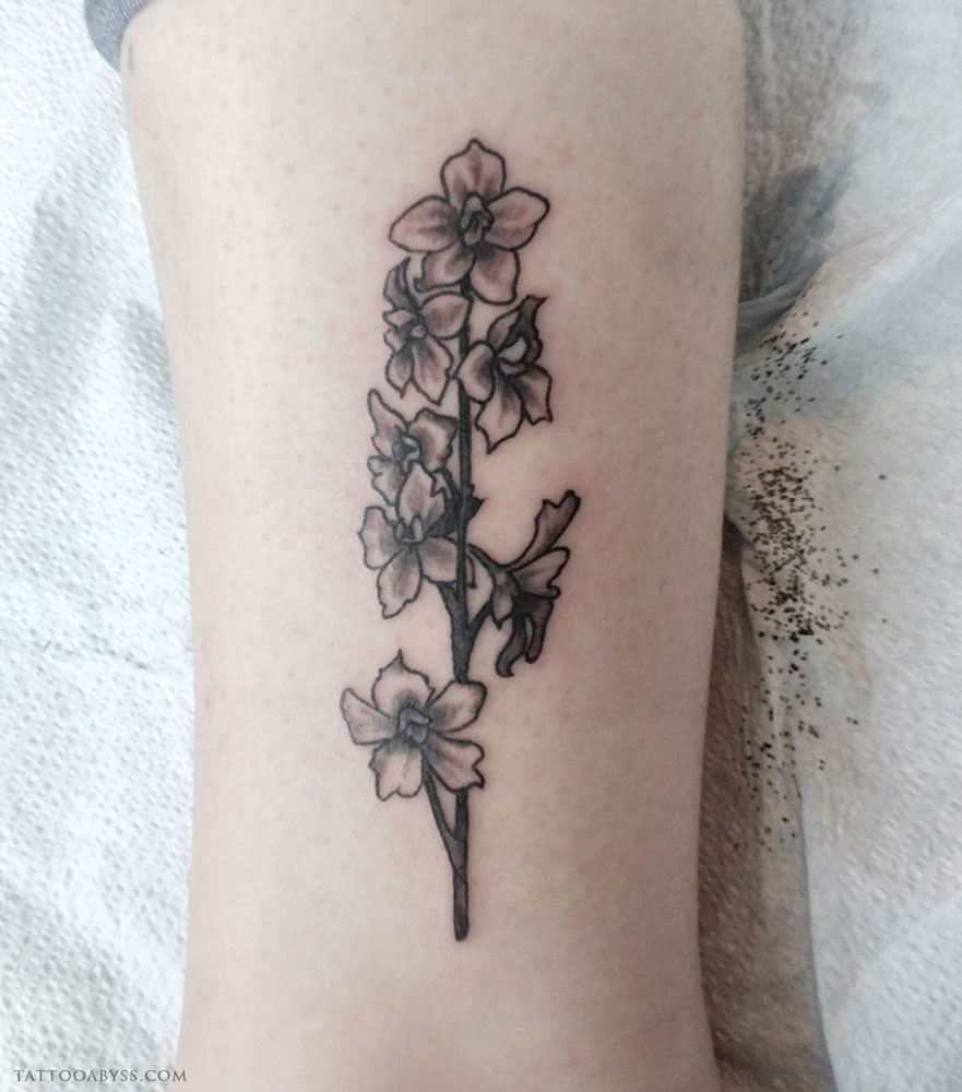 Larkspur flower tattoo  Jesse Neumann  Flickr