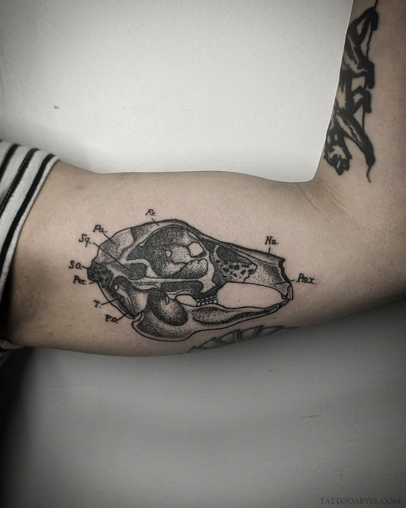 Pixel Rabbit Skeleton Tattoo by youthless  Tattoogridnet