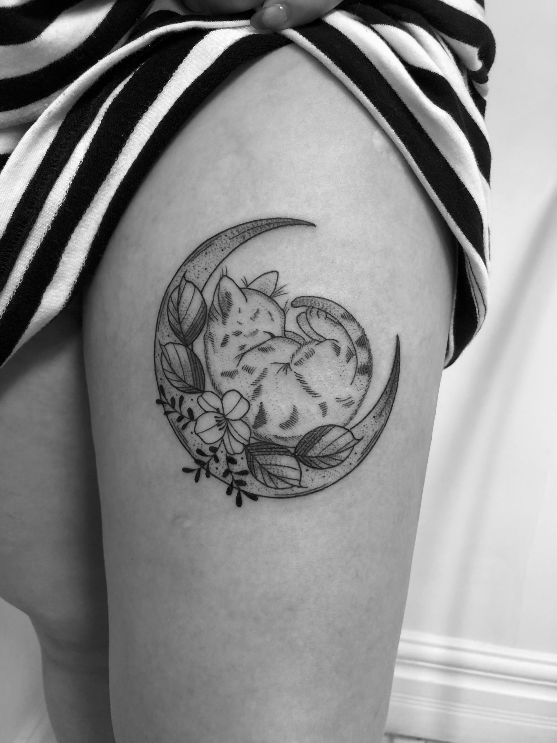 cat-curled-in-crescent-moon-with-flower