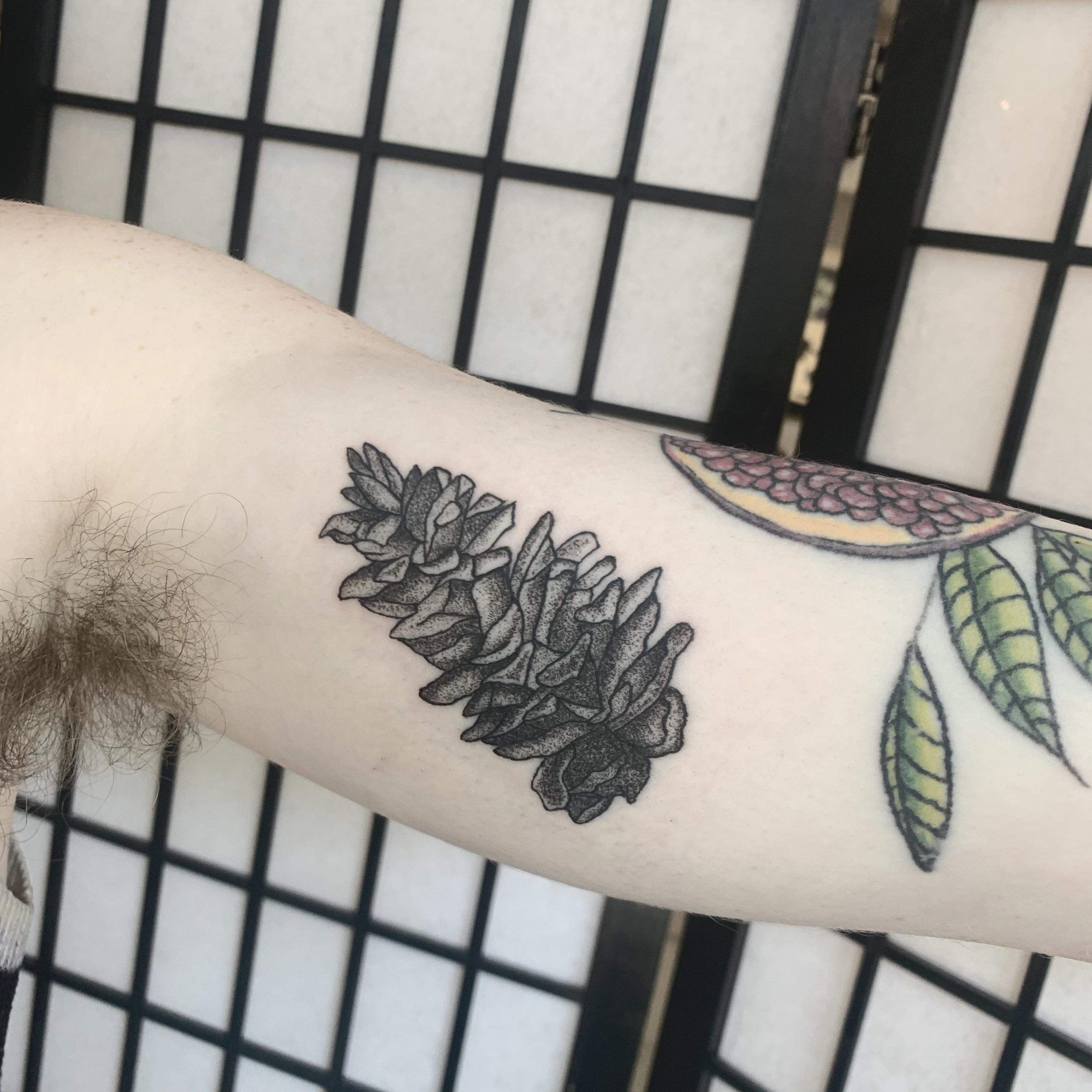 pinecone-tattoo