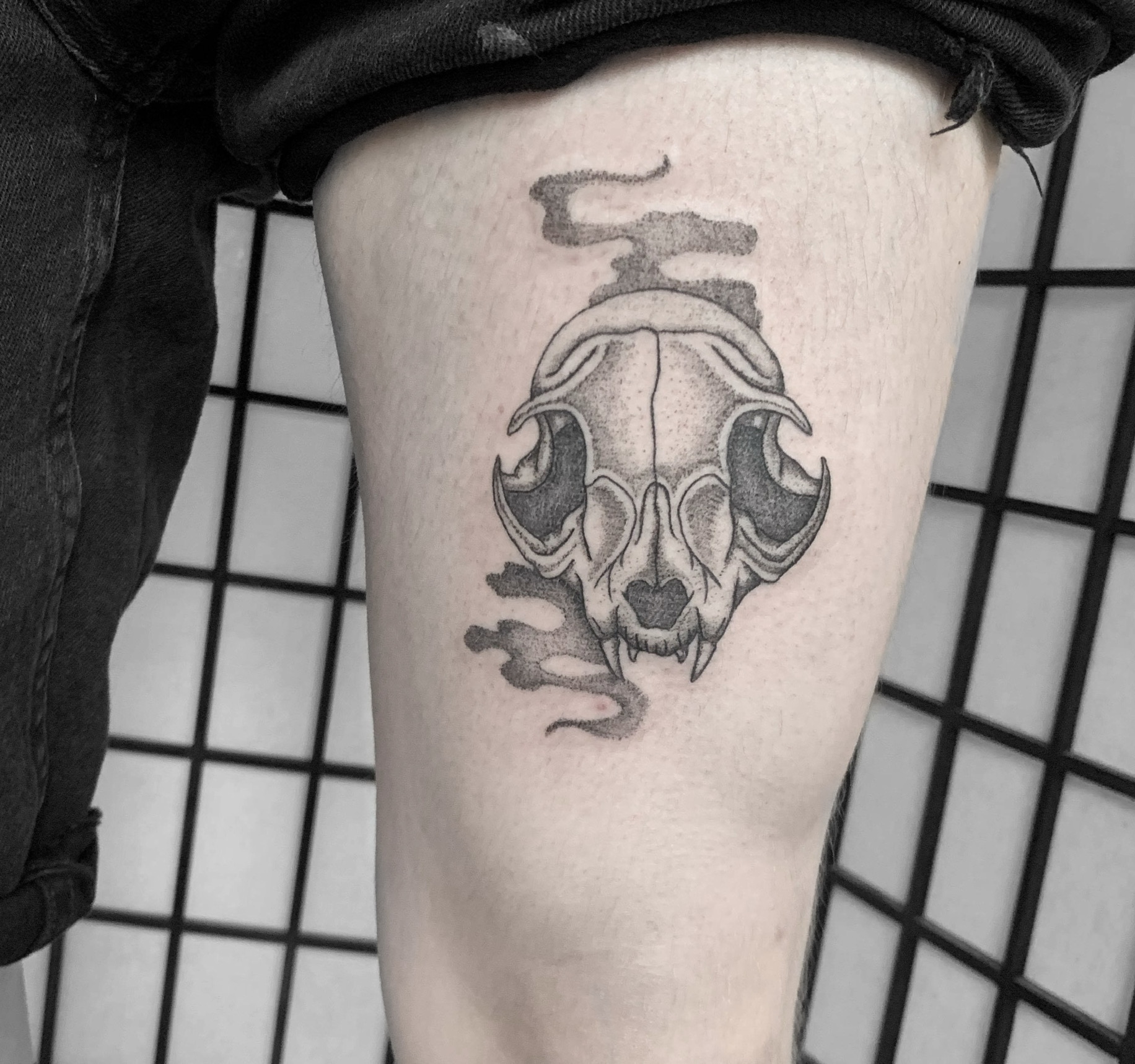 smokey-cat-skull-tattoo