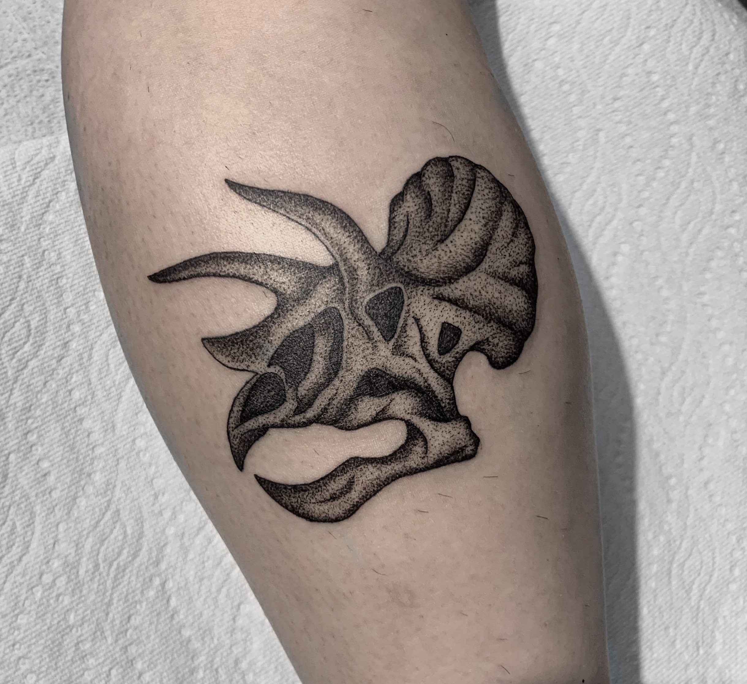 triceratops-skull-tattoo