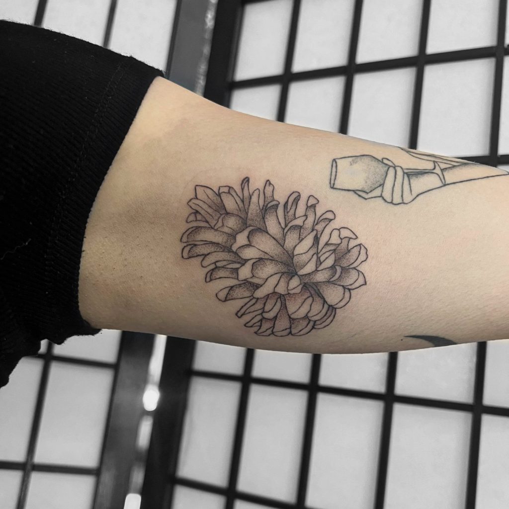 pine cone tattoo  Tatuata